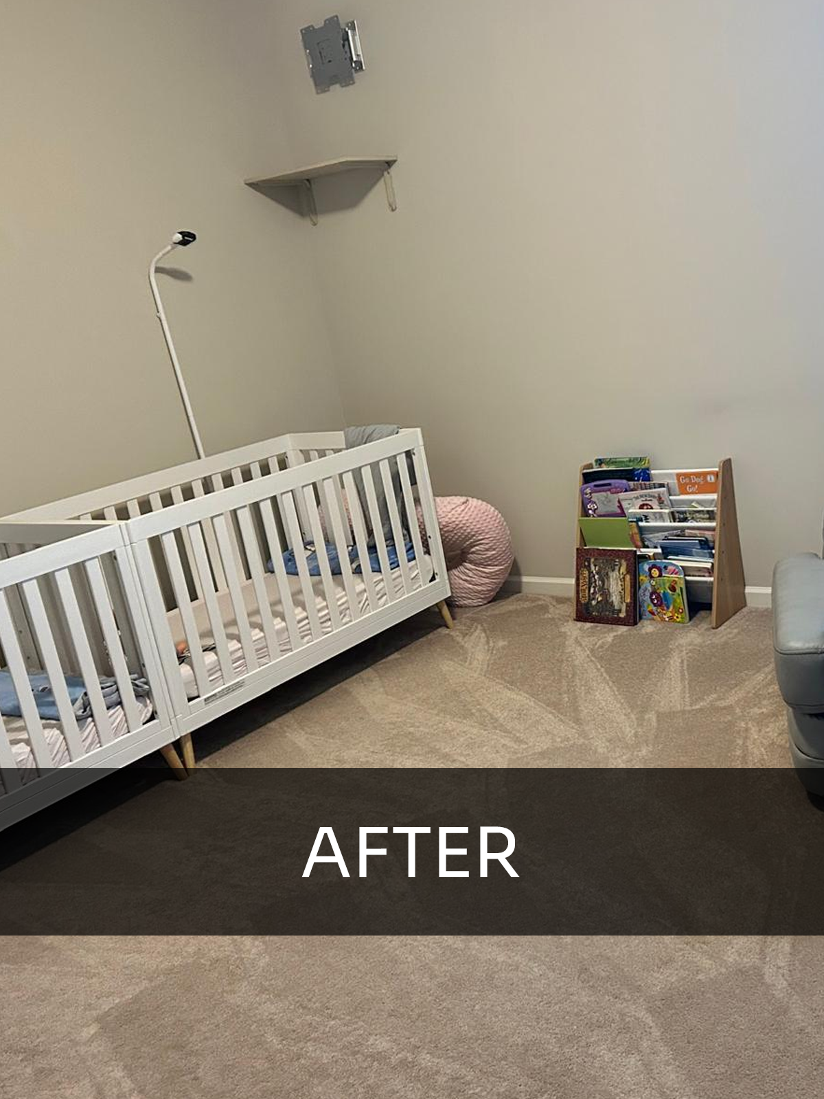 imagem_2025-02-03_141920548